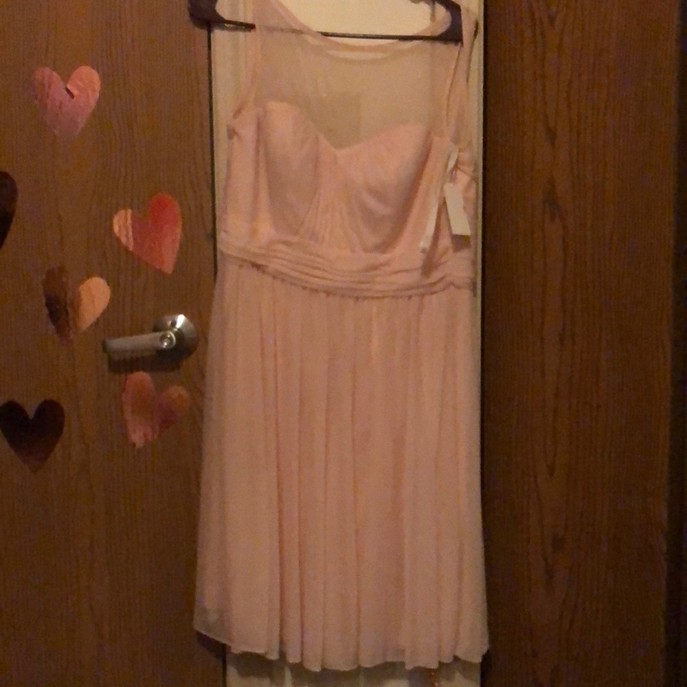 Pink mesh dress